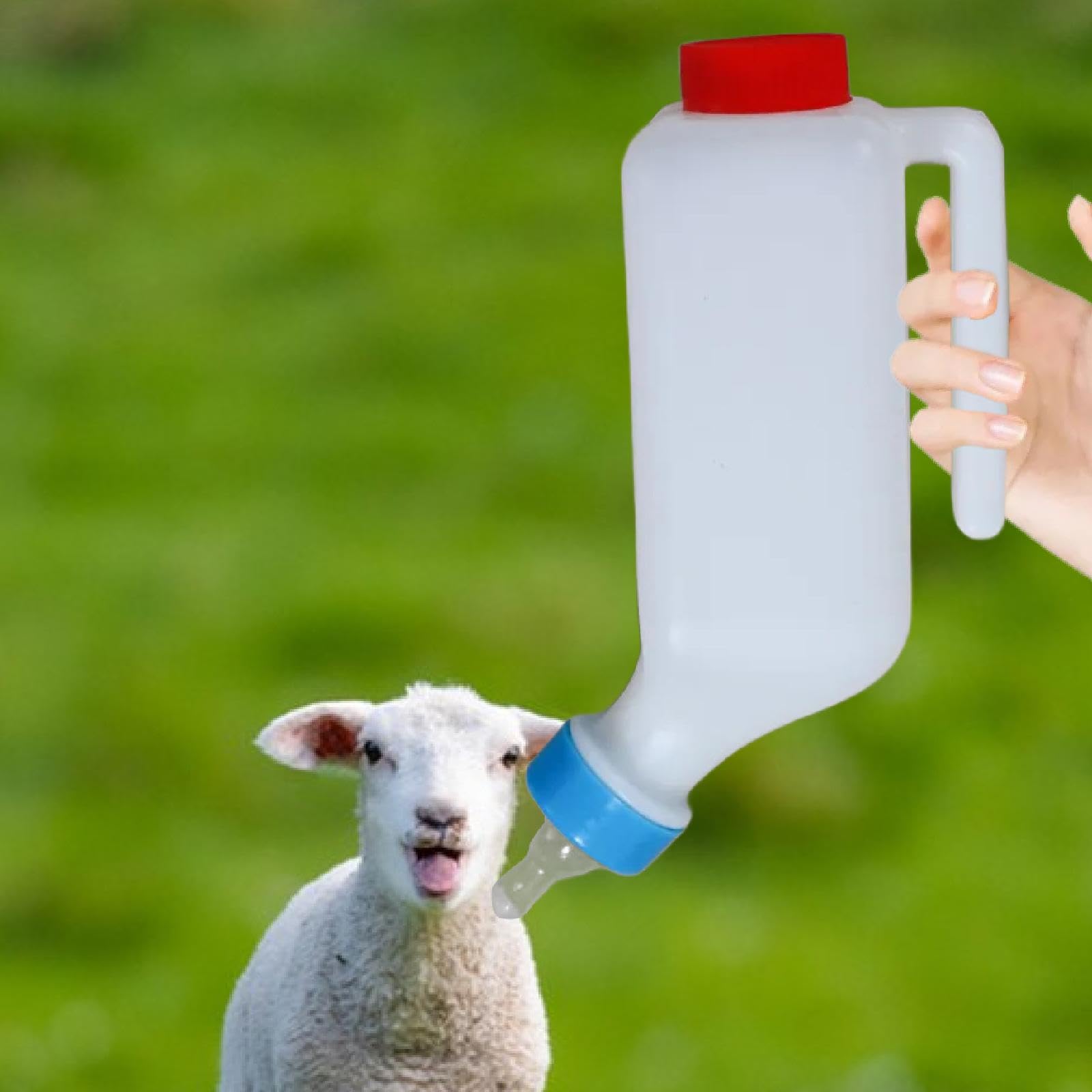 Whtkoph 800ml for Lambs and Small Animals, 1pcs