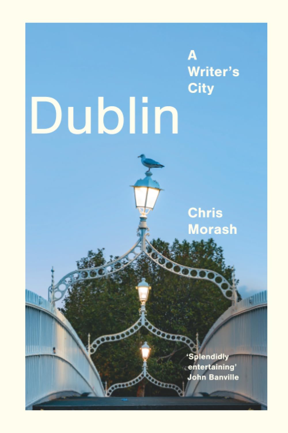 Dublin: A Writer's City (Imagining Cities)