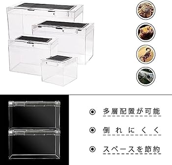 Amazon | pisipe 爬虫類ケージ 飼育容器、トカゲ ケージ、20cm