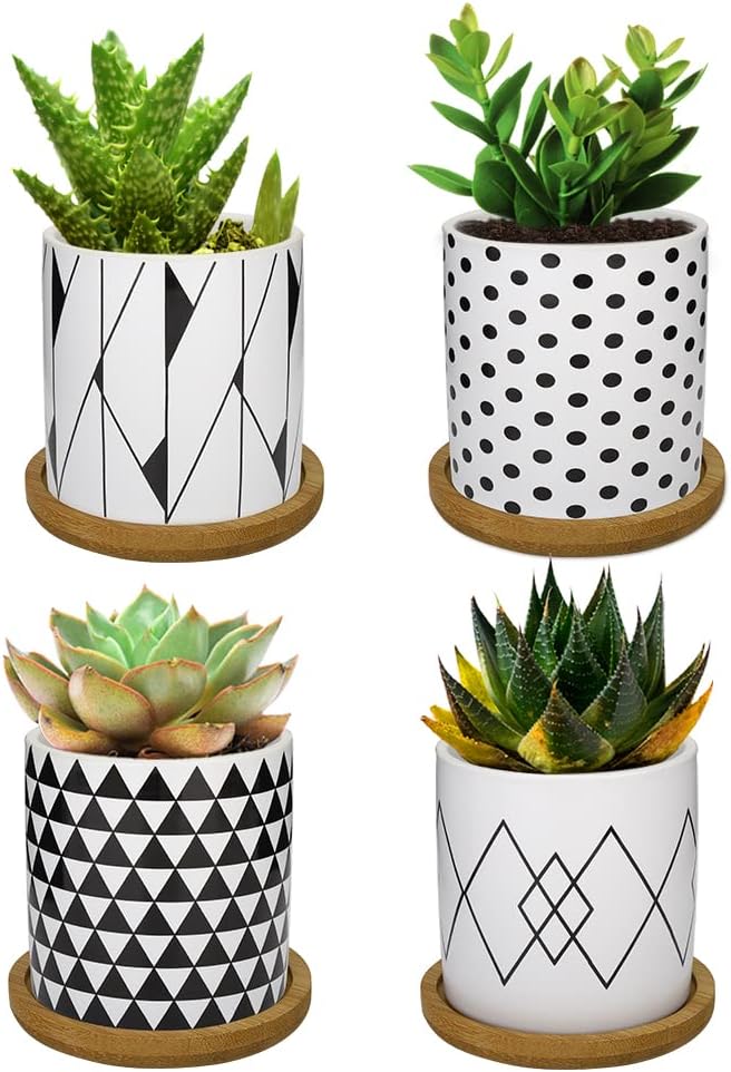 Coolty 4 Stück Keramik Sukkulenten Töpfe, 7cm Mini Kaktus Pflanze Töpfe