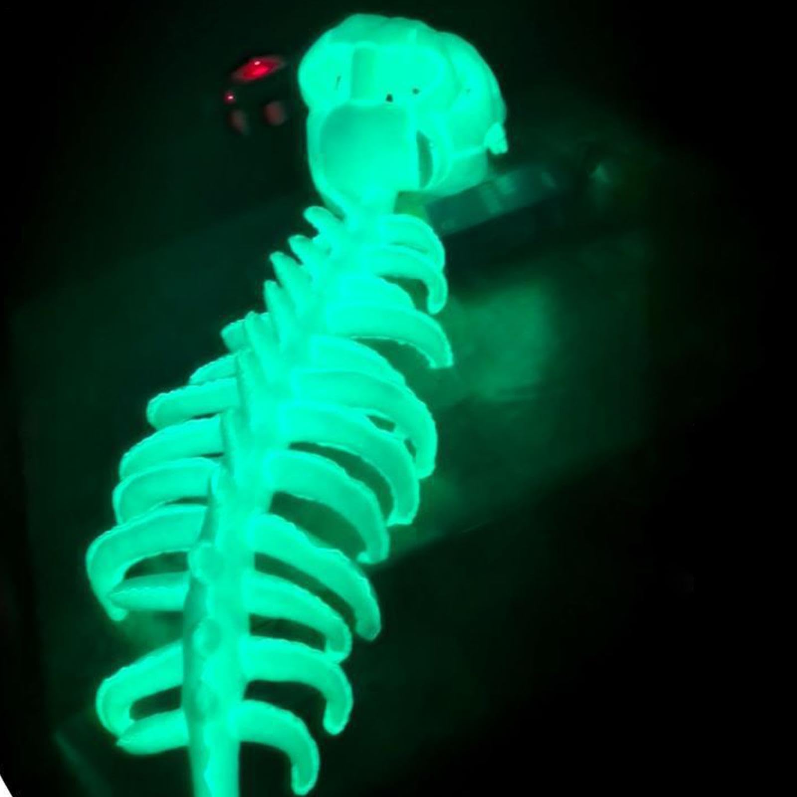 Costume Scheletro Dinosauro Fluorescente Vestiti Travestimento | Costumi Per Giochi Di Ruolo E Feste per Spettacoli Teatrali Fiere del Fumetto Feste Halloween e Recite Scolastiche