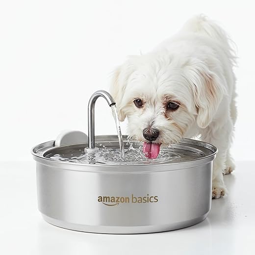 Amazon Basics Pet Water Fountain 3L