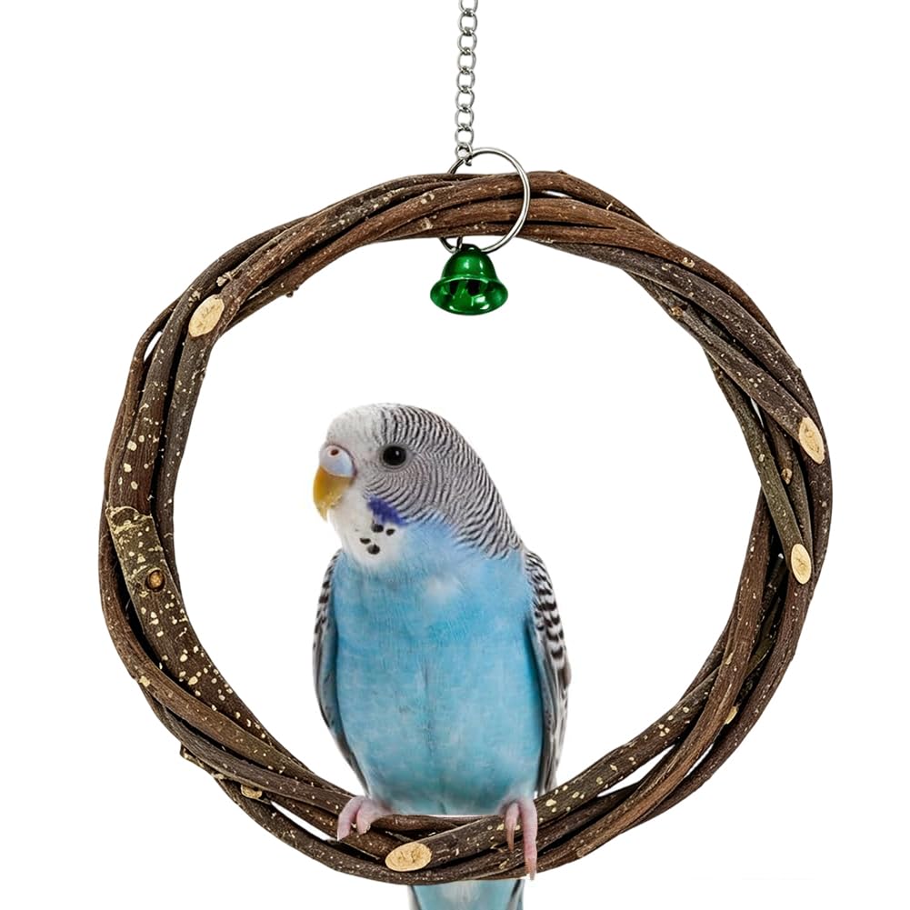GORGECRAFT Bird Perch Ring Natural Wood Circle Cage Birds Climbing Biting Stand Hanging Perches Rings Swing with Green Iron Bell and Chain for Parrot Budgies Cockatiels Cockatoos Conures