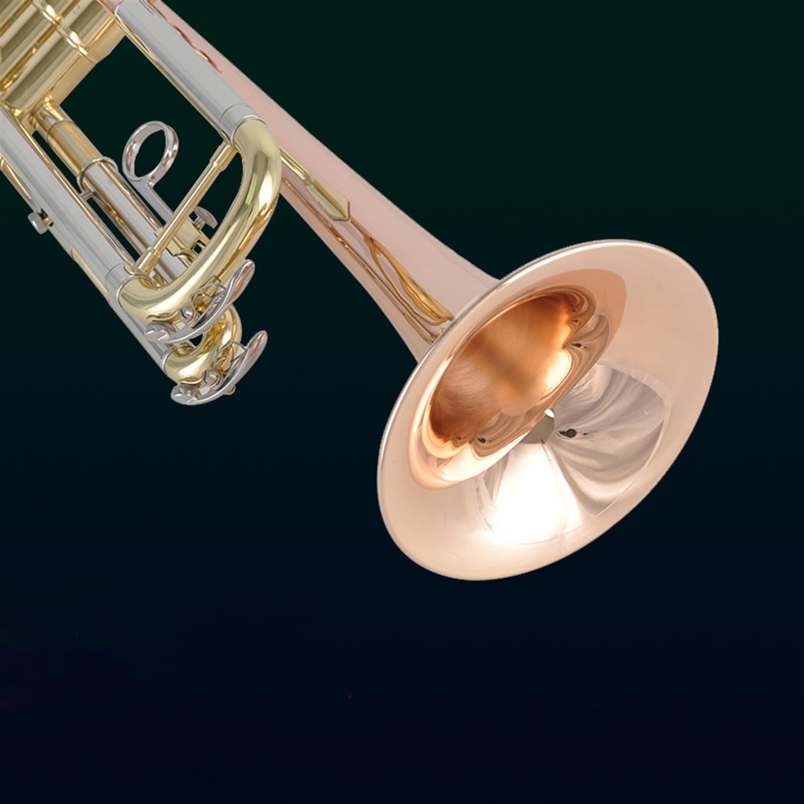 Tromba In Si Bemolle Bronzo Fosforoso Tromba Strumento A Fiato Per Principianti Prestazioni Professionali