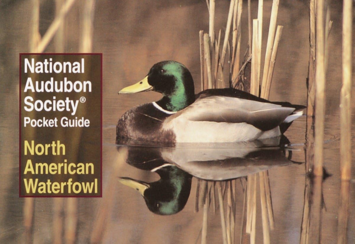 National Audubon Society Pocket Guide: North American Waterfowl (National Audubon Society Pocket Guides)