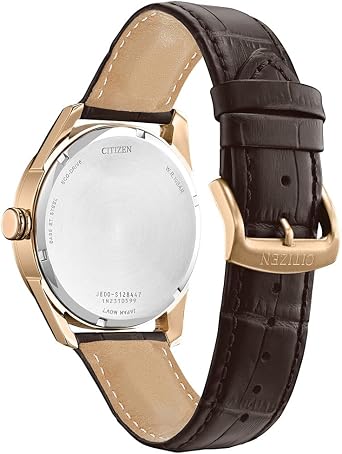 Citizen Men's Classic Eco-Drive Watch with 3-Hand Day and Date