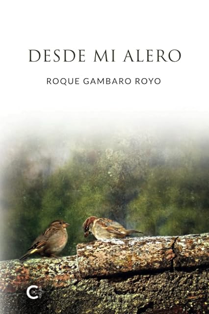 Portada de Desde mi alero