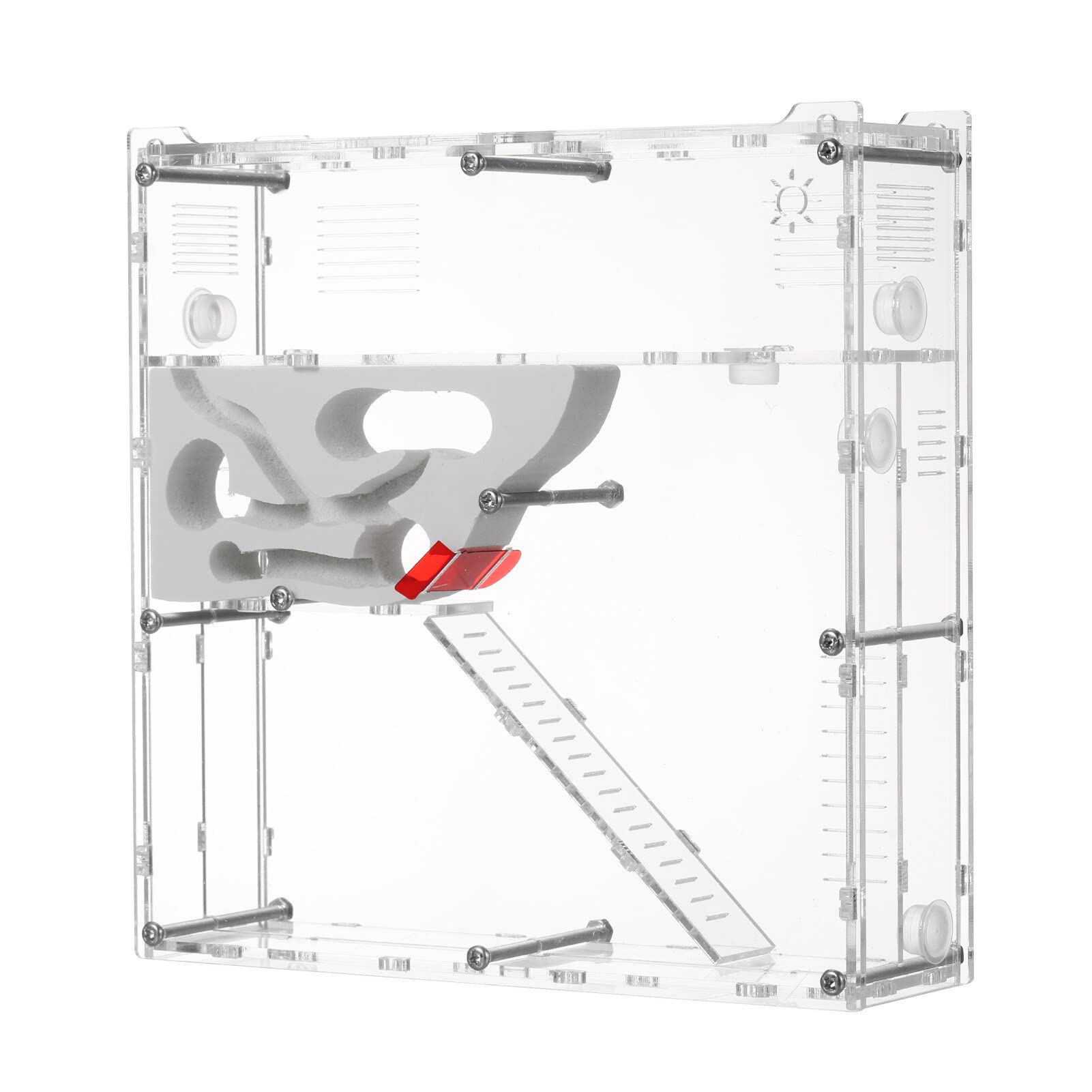 Fawoonu Live Ant Farm Starter Kit Ant Habitat Science Kit STEM Learning Educational Toy Kids Party Favor Science Gift Ant House Nest with Sand for Boys and Girls Over 5-year Old