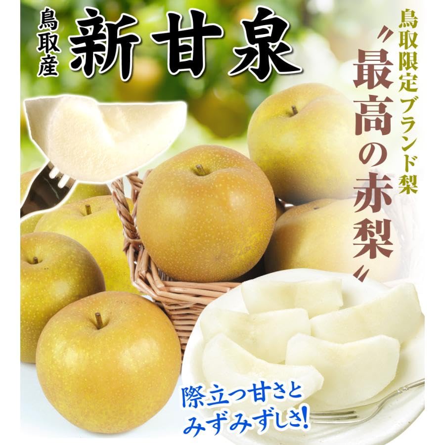 Amazon.co.jp: 国華園 梨 10kg 新甘泉梨 鳥取産 二十世紀梨を親に持つ