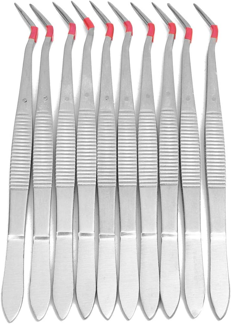 10Pcs 6inch Stainless Steel Tweezers Surgical Lab Instruments Dentistry Tool