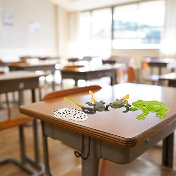 4D Vision Frog Anatomy Model, 23 Part Puzzle Of Frog