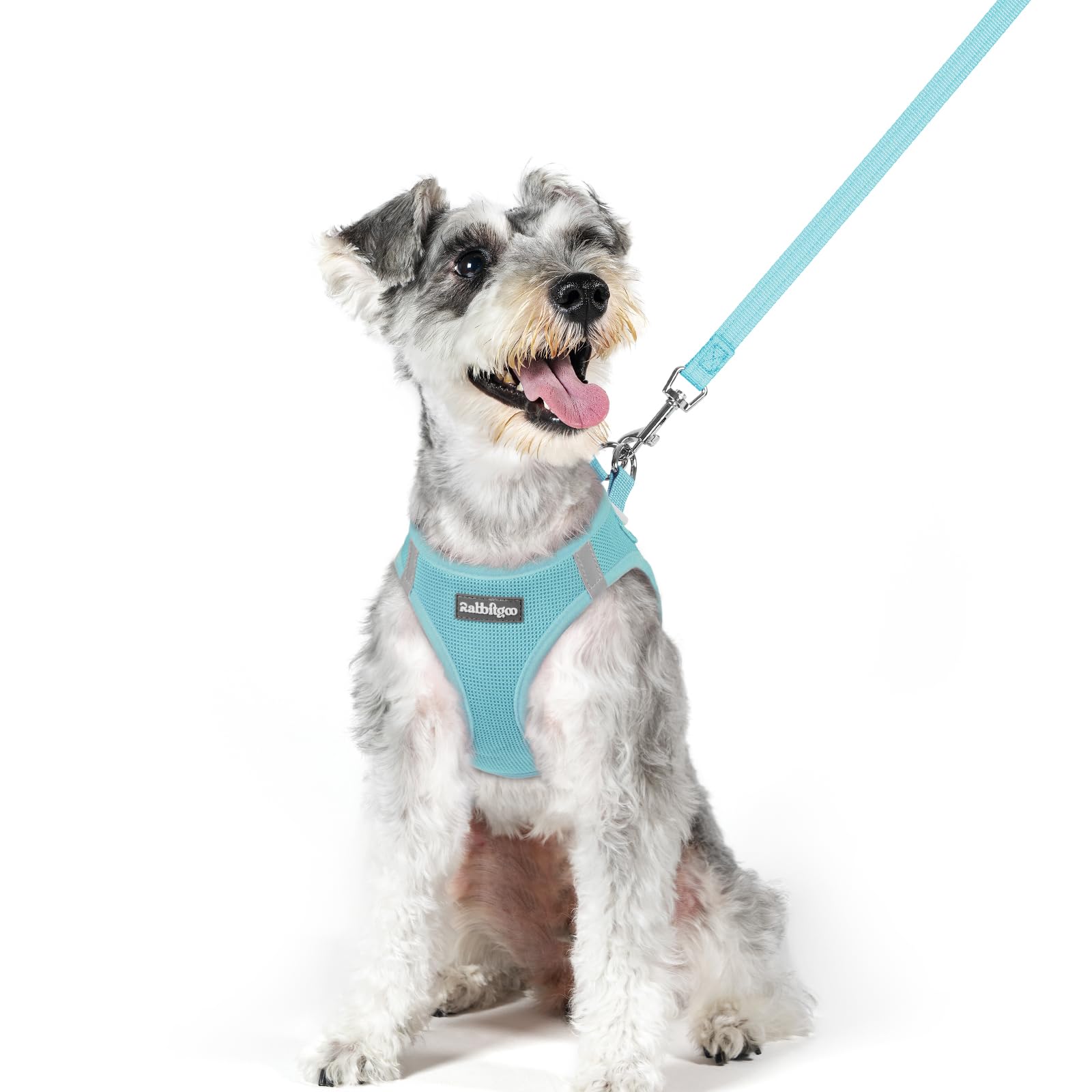 rabbitgoo Dog Harness Medium Sized and Leash Set, Step-in Puppy Pet Vest