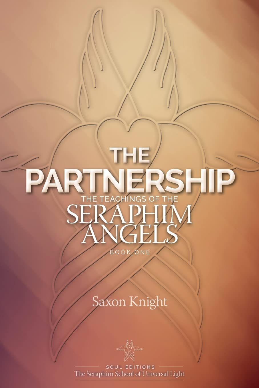 The Partnership: -The Teachings of the Seraphim Angels - Book One: Volume 1