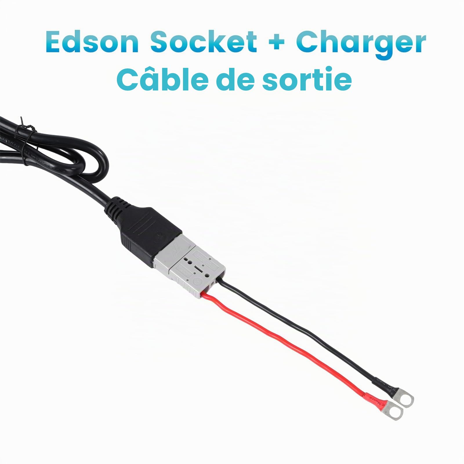 Chargeur de Batterie au Lithium 15 Ampères 18V-88V LiFePO4