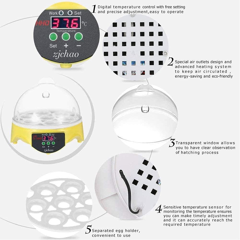 Incubatrice per 7 Uova, incubatrici per Uova da cova, Mini incubatrice Automatica per polli, Anatre e oche, incubatrice per Uova con girauova Automatico dal Design visibile.