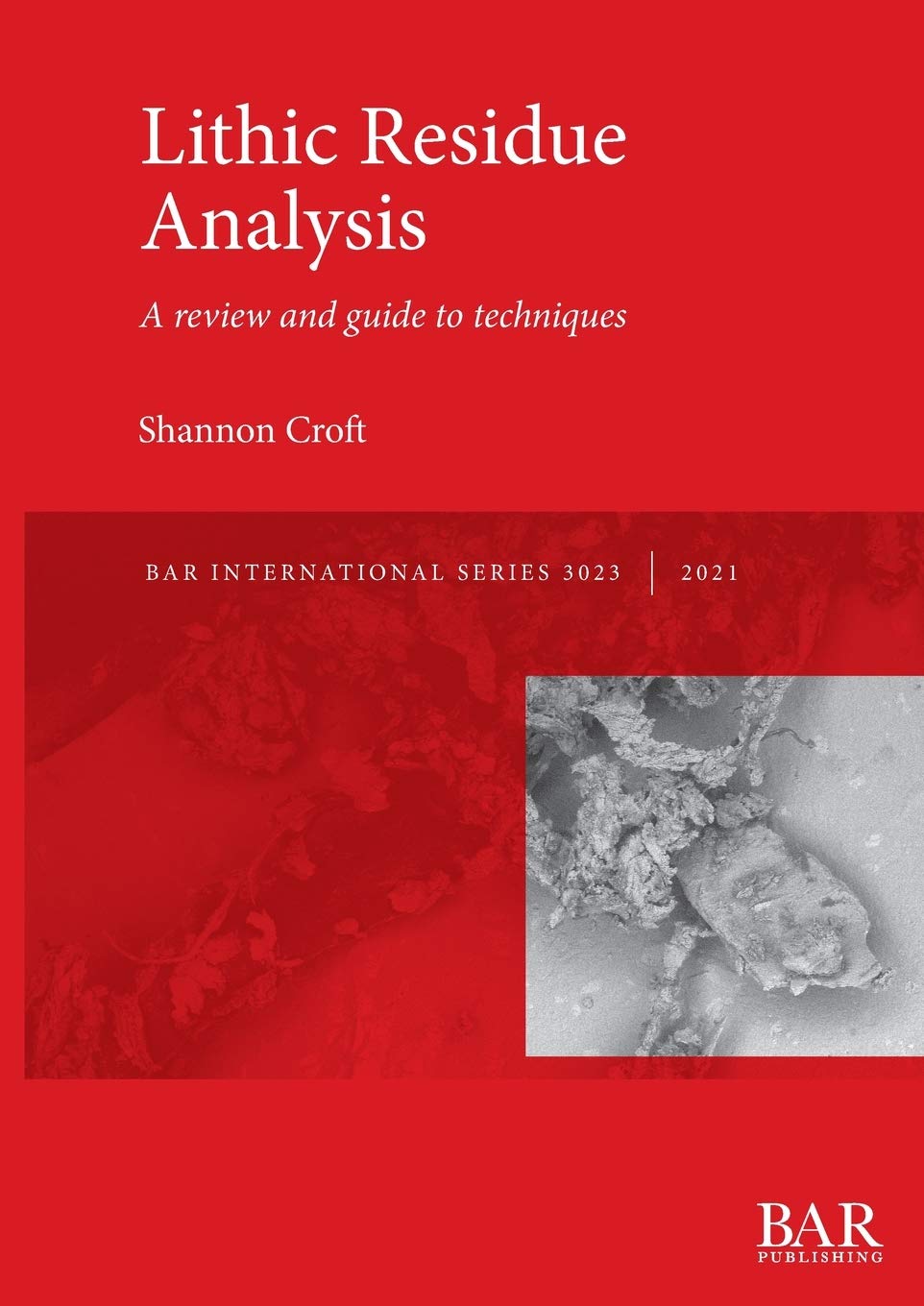Lithic Residue Analysis: A review and guide to techniques (British Archaeological Reports International Series)