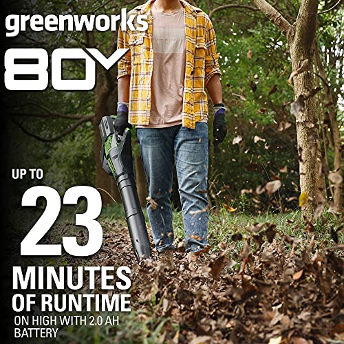 Image of Greenworks 80V Electric Leaf Blower, 500 CFM, 2.0 Ah Battery and Charger