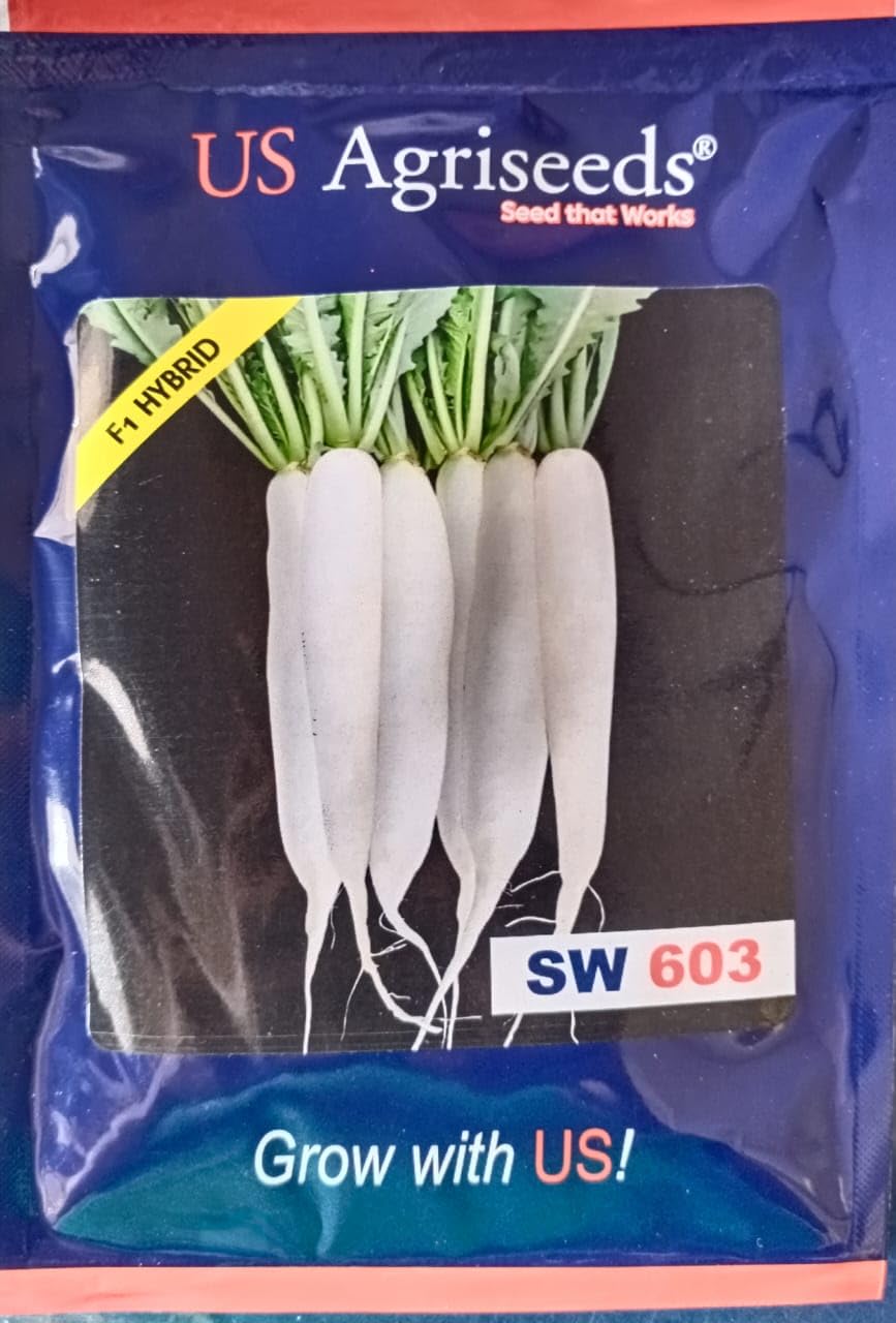 US Agriseeds F1 Hybrid Radish Seeds, SW 603 Variety, 50 Grams, Ready in 30 Days (B0DFLPWKR2) Amazon Price History, Amazon Price Tracker
