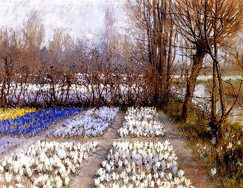 Affiche impression prints toile champ de crocus George Hitchcock