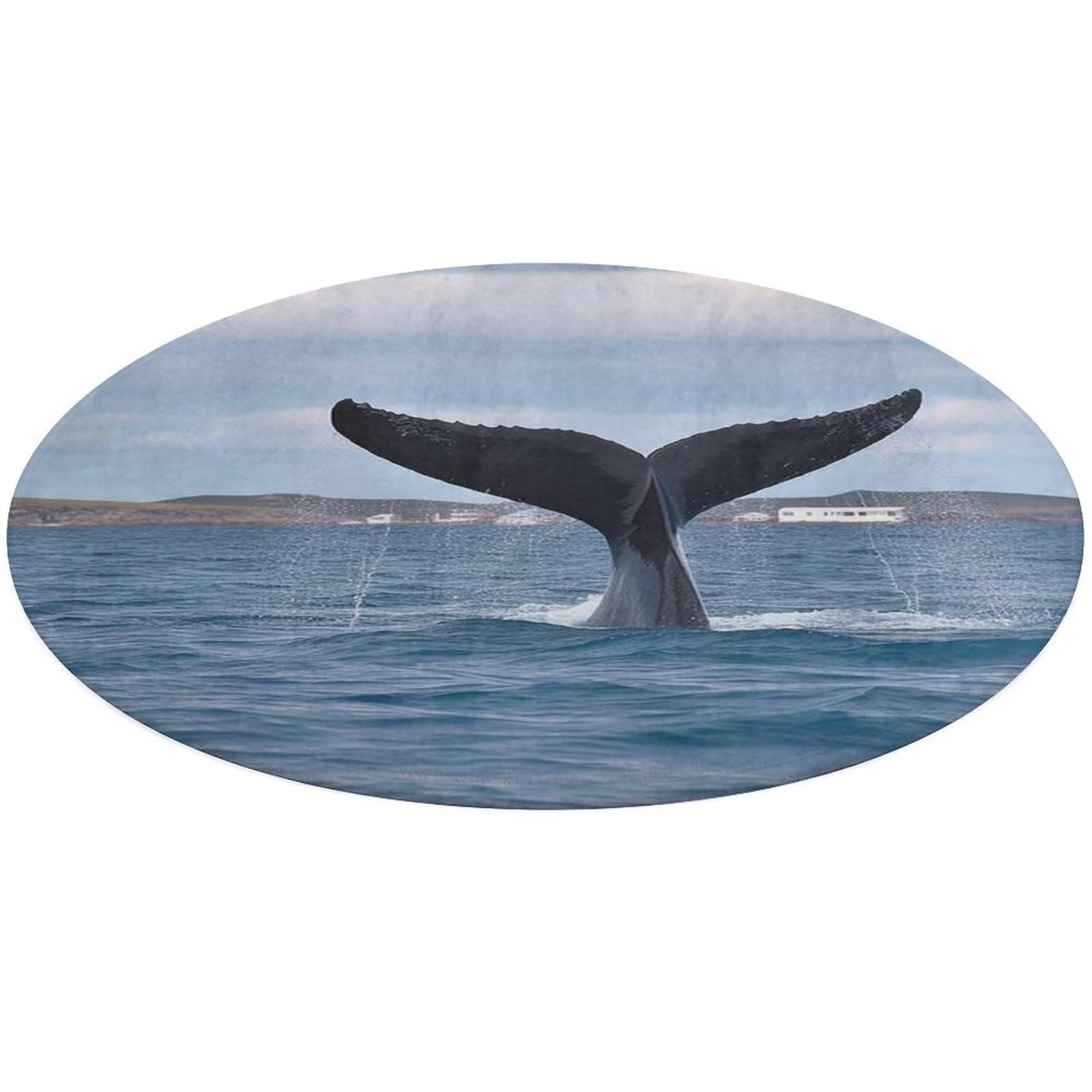 Alfombra pequeña lavable de cola de ballena para decorar tu dormitorio