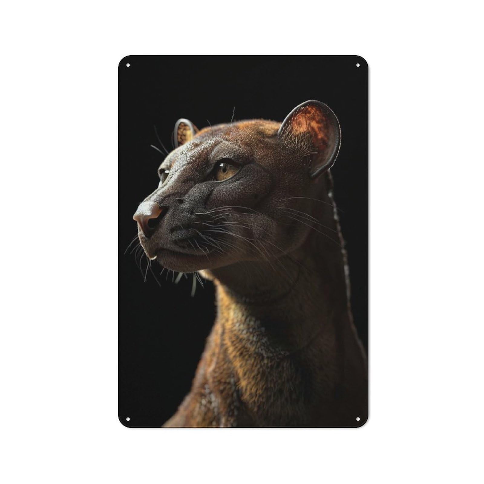 Junmoney Style-17 Tin Wall Plaque 30X20cm With Fossa For Studio Or Craft Room, Suited To Studio Decor Lovers
