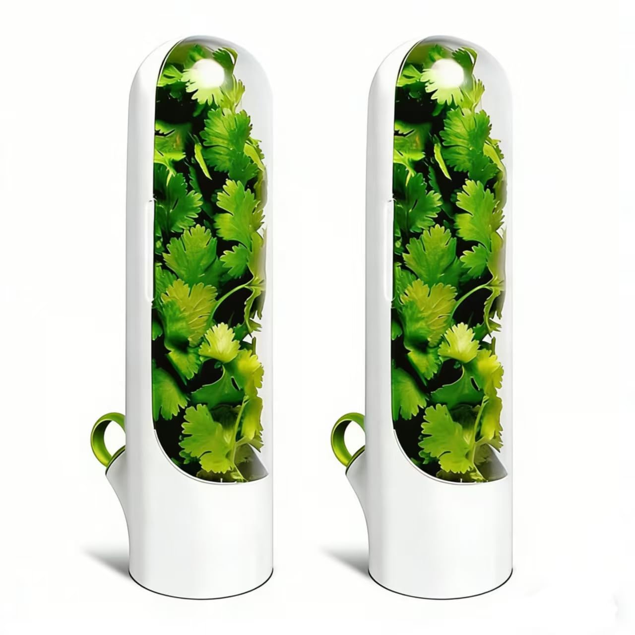 LOTUSHU Fresh Herb Keeper Container for Refrigerator, Clear Herb Saver Storage for Coriander, Parsley, Basil, Mint, Leafy Greens (White B-2PCS)