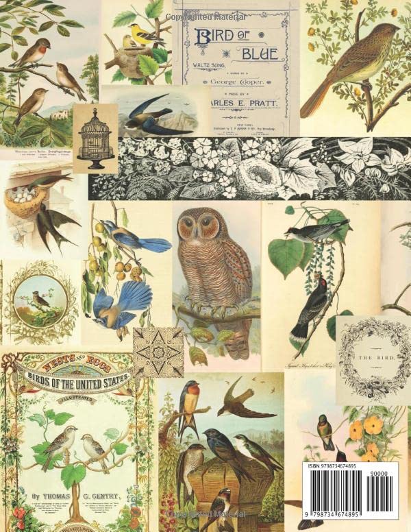 Snapklik.com : Vintage Bird Ephemera: A Beautiful Collection For Junk ...