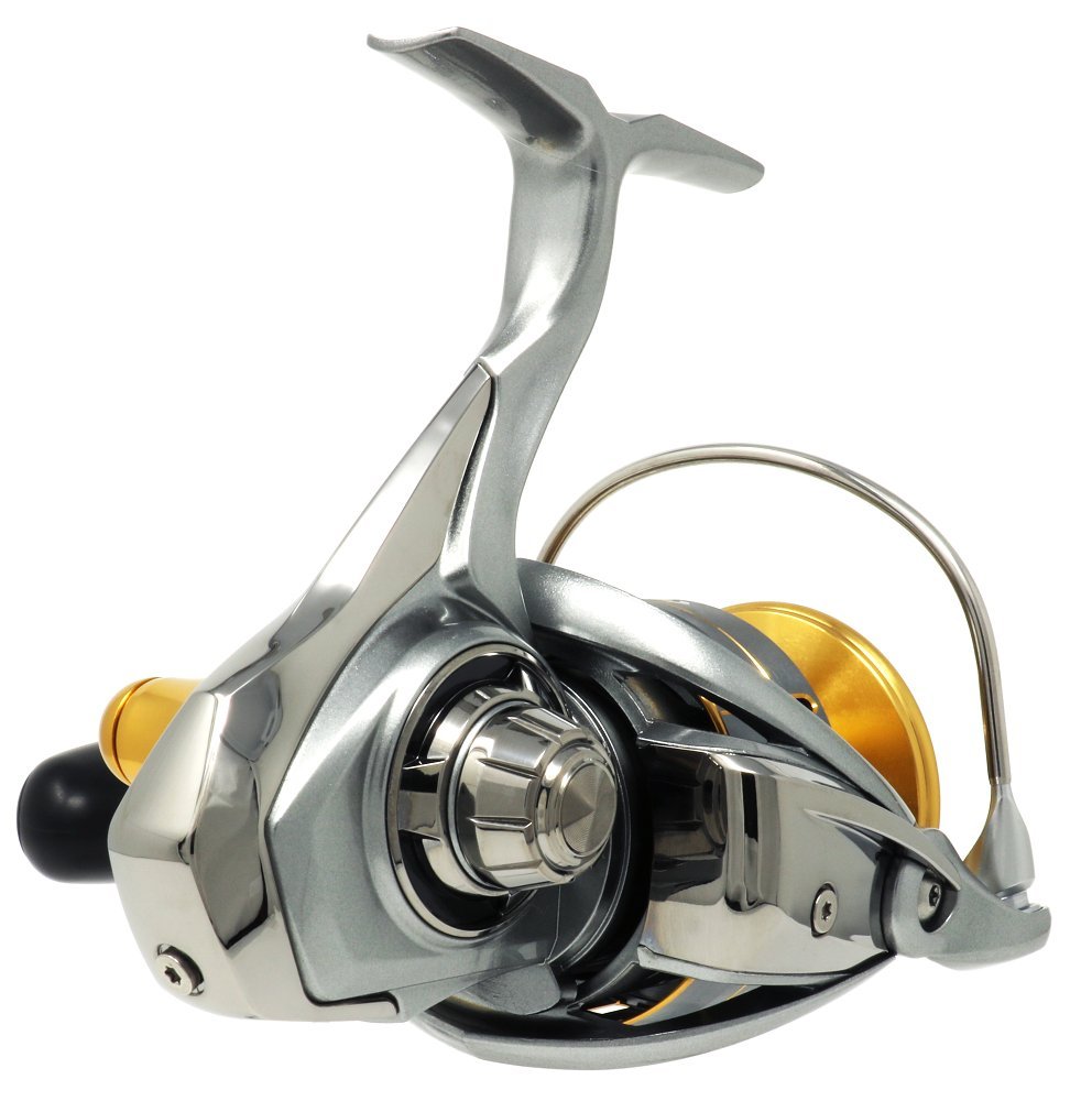 ⑥Daiwa FREAMS LT 6000D-H Daiwa Freams LT Spinning Reel 6000D-H | BCF
