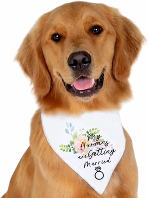 Fiacvrs Dog Scarf Bibs My Humans are Getting Wedding Married Dog BandanaPet Accessories For Dog Lovers(White)
