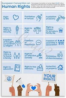 Convention On The Rights Of Persons With Poster(1) Canvas Painting for Living Room Bedroom Decor 12x18inch(30x45cm) Unframe-style