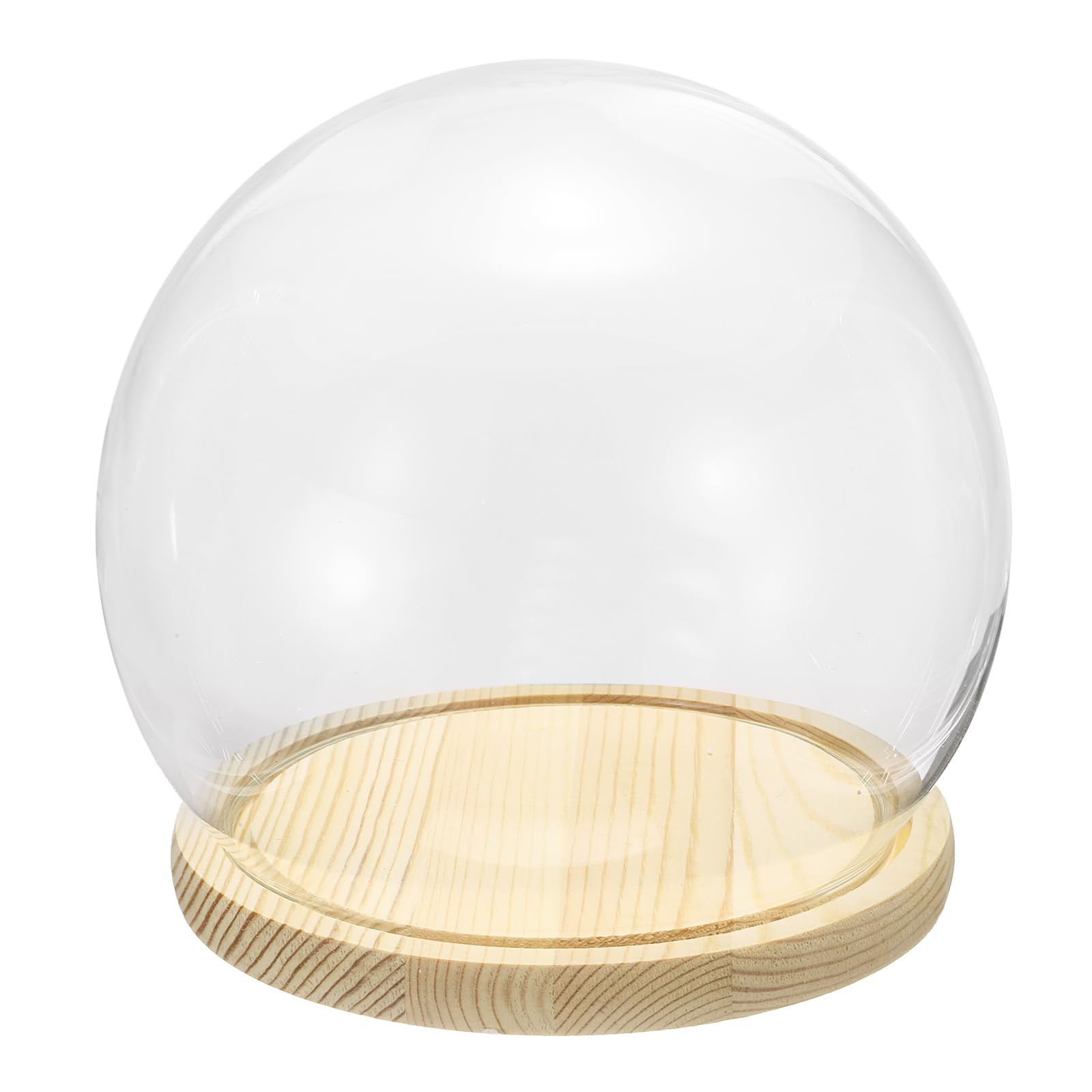 Cloche ronde en verre étanche à la poussière pour protéger vos spécimens de plantes