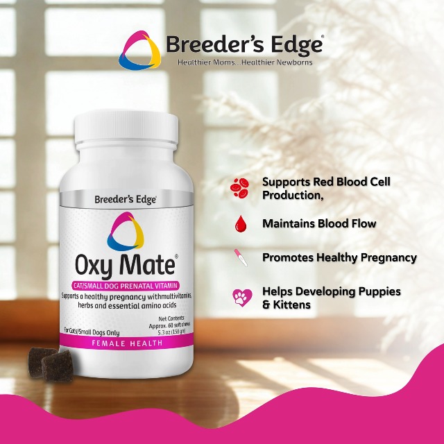 Amazon.com: Breeder's Edge Oxy Momma Soft Chews, Postnatal Vitamin