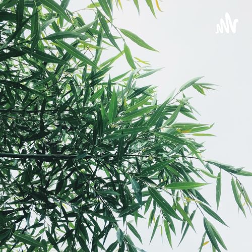 183.摩拜胡炜玮:资本助推你的,你都会还回去 Podcast Por arte de portada