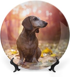 Dachshund Dog Pet Animal Commemorative Decorative Plates for Wall Hanging Decor 8" Ceramic Holiday Party Wedding Collection Porcelain Plate with Display Stand Home Decoration