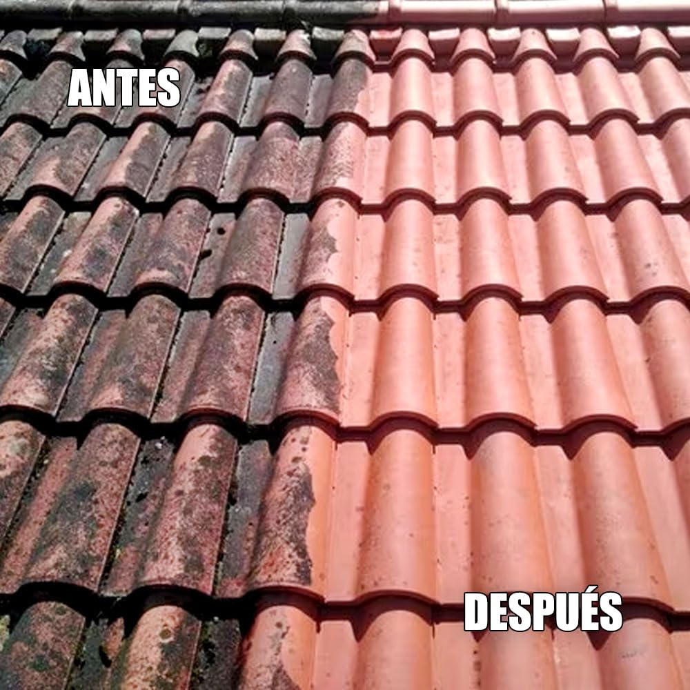 Limpiador de Humedades para Tejados, Fachadas y Suelos (10 ltr) - Elimina en profundidad las manchas negras y por el paso del tiempo - ANTIHUMEDADES