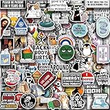 100 Pcs Funny Stickers for Adults Funny Meme Stickers Crazy Sticker for Adults Teens Vinyl Waterproof Stickerss for Water Bottles Laptops