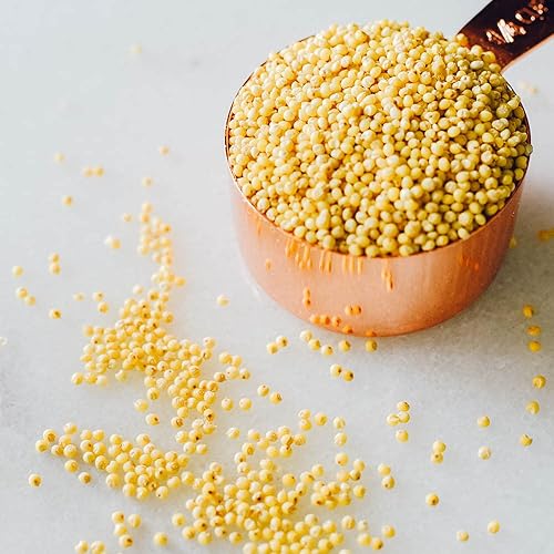 Grano de mijo orgánico de granos orgánicos 3 libras 48 onzas El grano de mijo entero superior para cocinar Mijo orgánico sin OMG Kosher y vegano