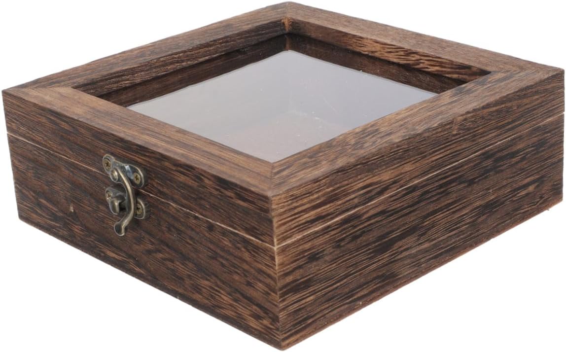 3pcs Vintage Style Butterfly Specimen Display Case Lidded Jewelry Box for Collectibles -type Storage Carbon for Butterfly