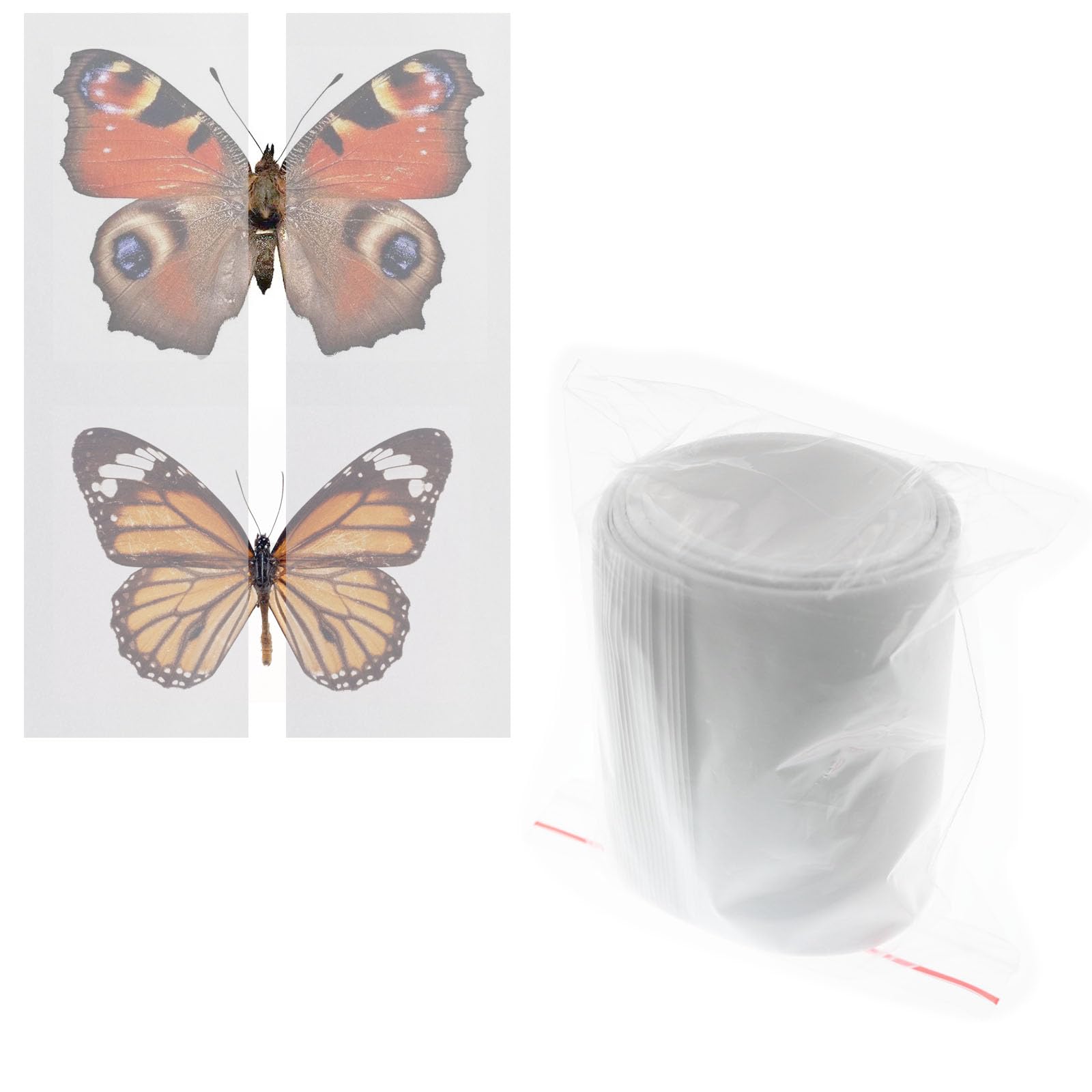 Lind Kitchen 1 Pack 420 x 70mm x 20 Making Insect Specimen Tools Kit Wings Pressing Paper Insect Pins Insect Pinning Board Insect Display Case Insect Collection for Bug Hobbyist Biology Projects