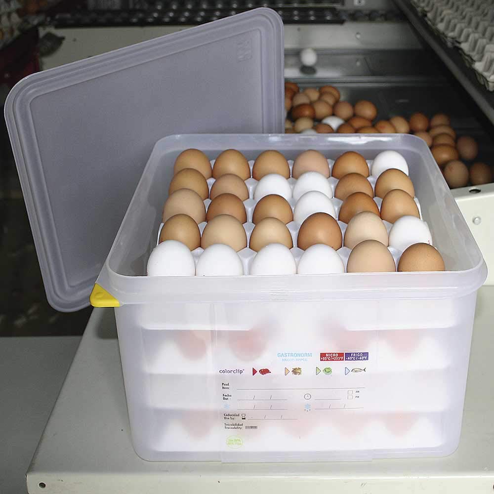 2 cajas de transporte para huevos (largo x ancho x alto) 354 x 325 x 200 mm, recipiente de tamaño Gastronorm GN 2/3, plástico de polipropileno (PP)