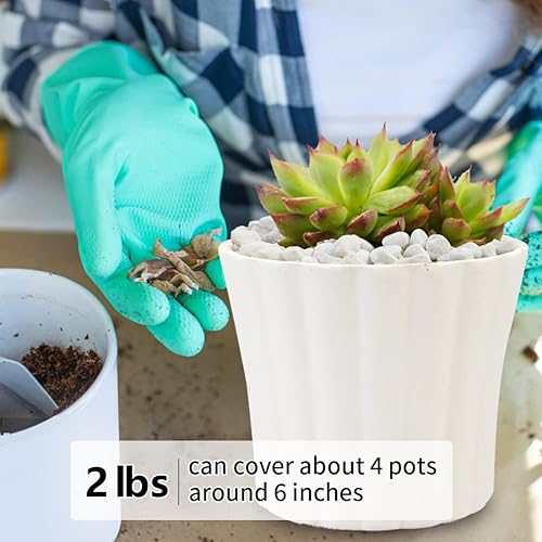 Miniatura 11 de Grava para suculentas y cactus de 10 libras, guijarros pulidos decorativos naturales de 1/5 pulgadas para paisajismo, rocas de río gris