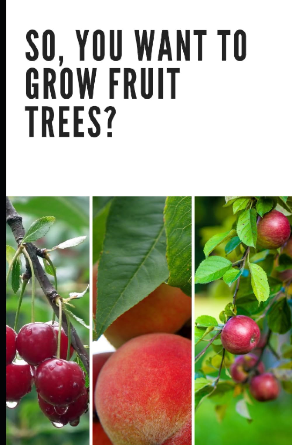 So, You Want to Grow Fruit Trees?