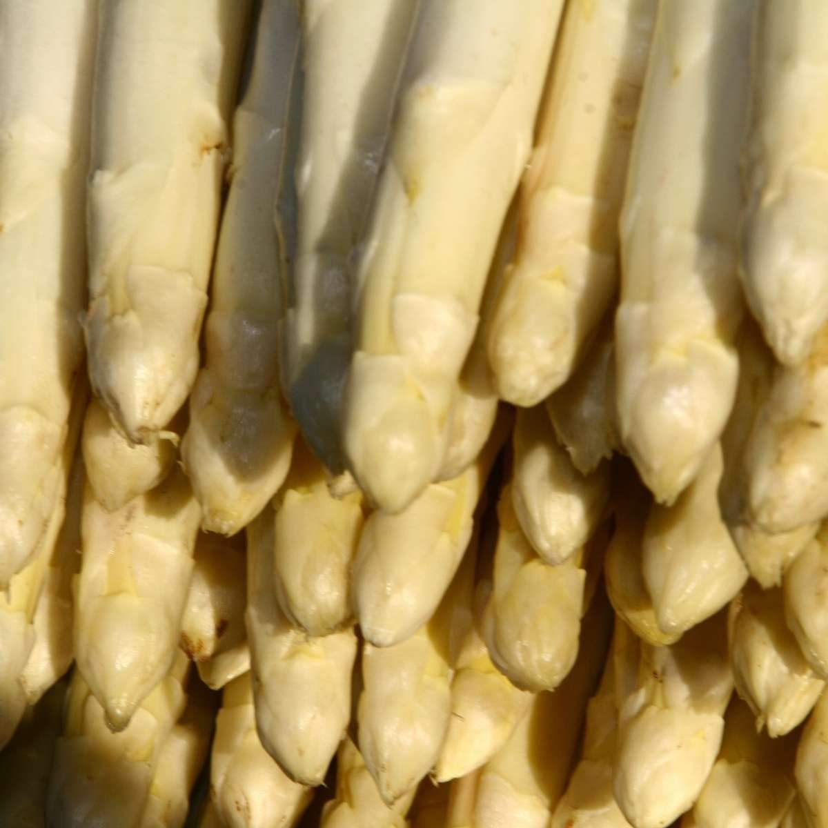 Espárragos de Navarra Extra Blancos Extra Gruesos Pelados - Denominación de Origen Navarra - Especial 6-8 Frutos J. Vela 780G. Producto Recomendado - espárragos de un calibre Extra Grueso