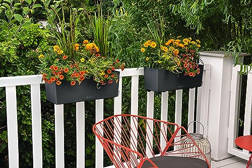 Lechuza BALCONERA Color 50 Self Watering Planter Plastic Indoor/Outdoor Flower Plant Pot Table and Window Box with Drainage Hole H19 L50 W19 cm Slate - Cosy Home Interiors Lechuza BALCONERA Color 50 Self Watering Planter Plastic Indoor/Outdoor Flower Plant Pot Table and Window Box with Drainage Hole H19 L50 W19 cm Slate - Image 6