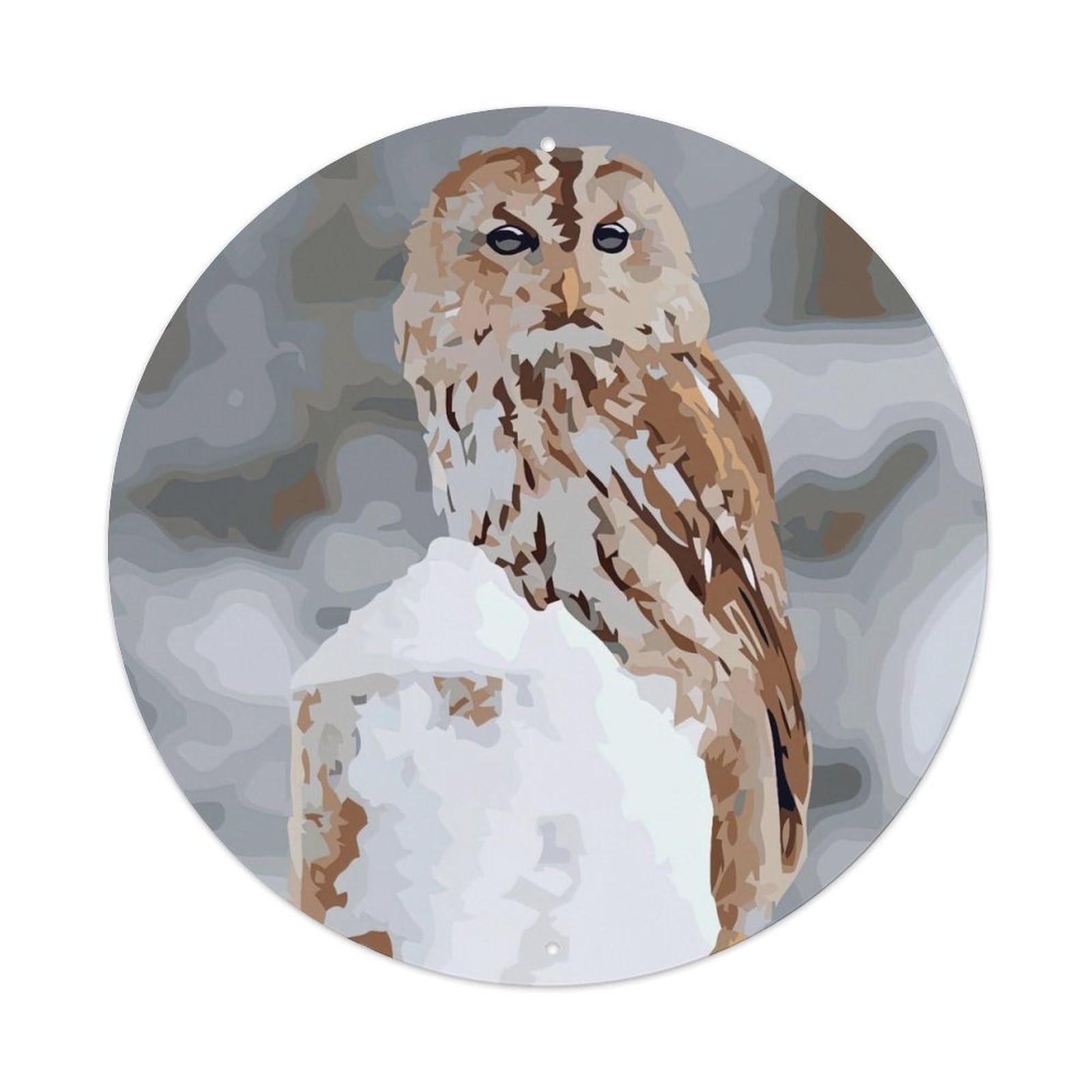 Animal Artwork Western Screech-owl Vintage Metal Tin Sign Plaque Wall Decor for Cafe, Club Bar, Office, Garden Metal Poster 8x8Inch