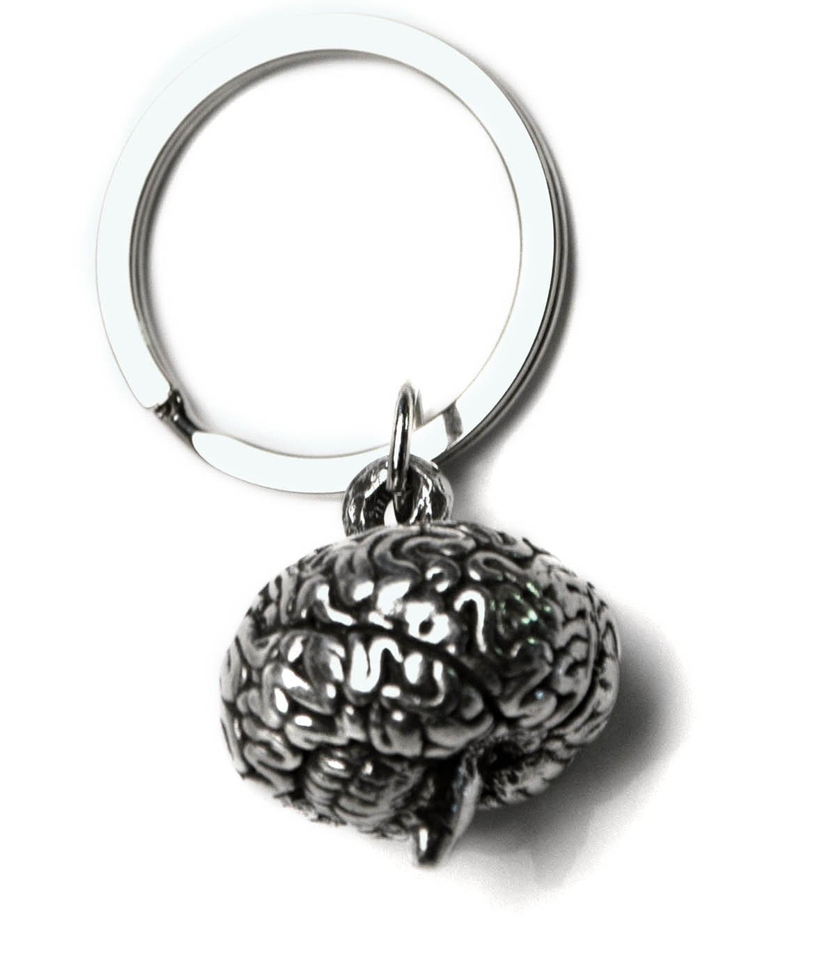 Buy Anatomology Brain Keychain Online Zambia Ubuy