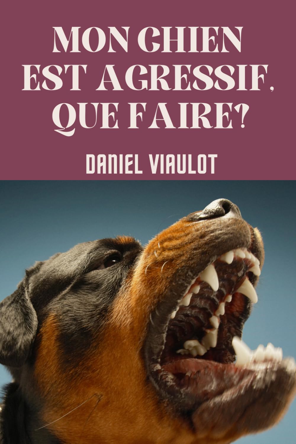 Maîtriser l’instinct de prédation : entraînement basé sur la motivation canine - 14