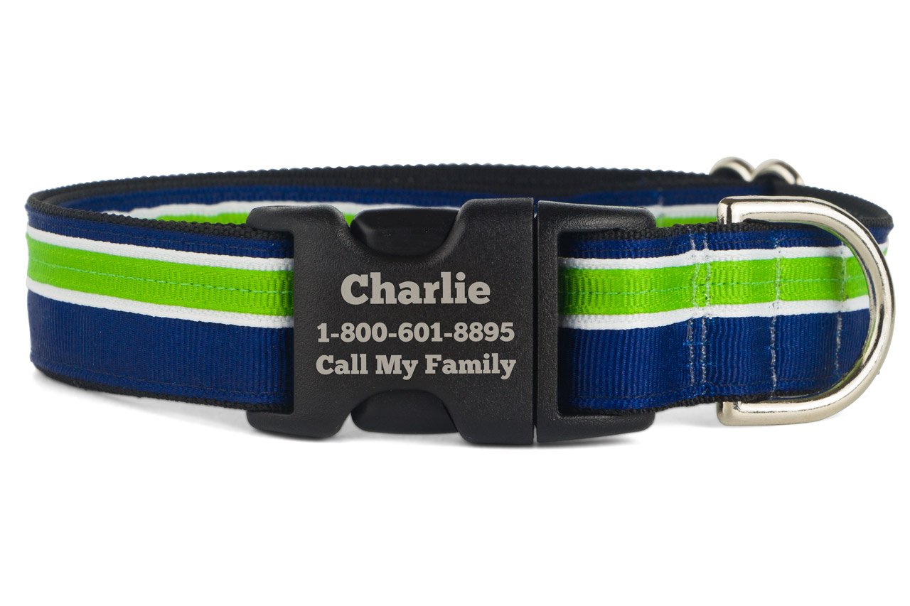 If It Barks Personalized 1" Striped Dog Collar - Engraved Name - Custom Size, Finley