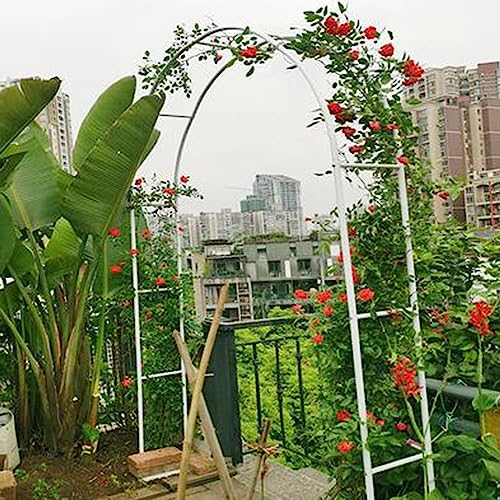 Arche de jardin pour rosiers décorative sur terrasse et patio - 2