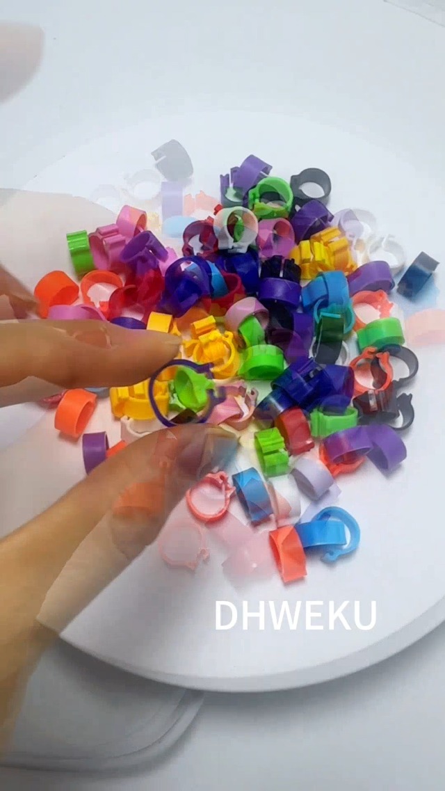 Anelli Per Zampe Di Uccelli - 100 Pezzi 10mm, 10 Colori, Per Piccioni E Pollame - Foto 4